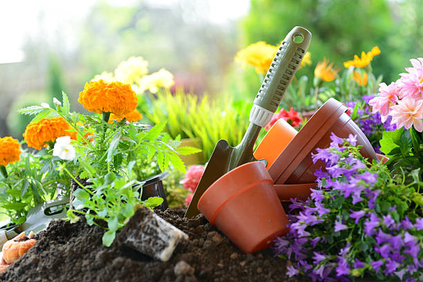 Outdoor Garden Care